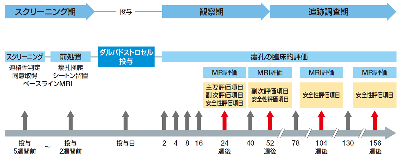 試験デザイン