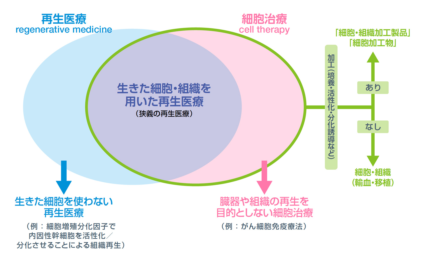 図．再生医療等製品の定義