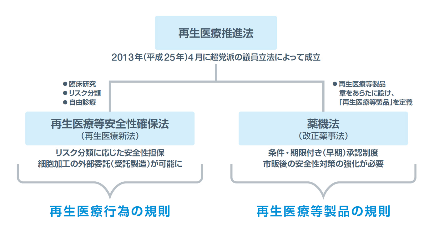 図．再生医療に関する法律